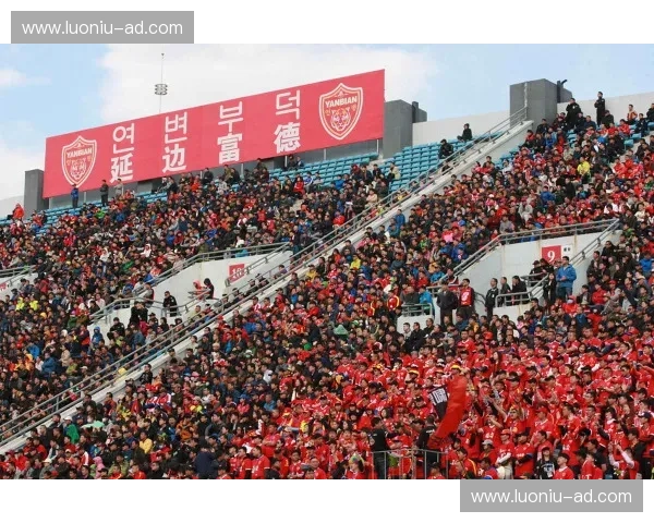 球迷组织力量汇聚共建精彩赛事互动社区新模式