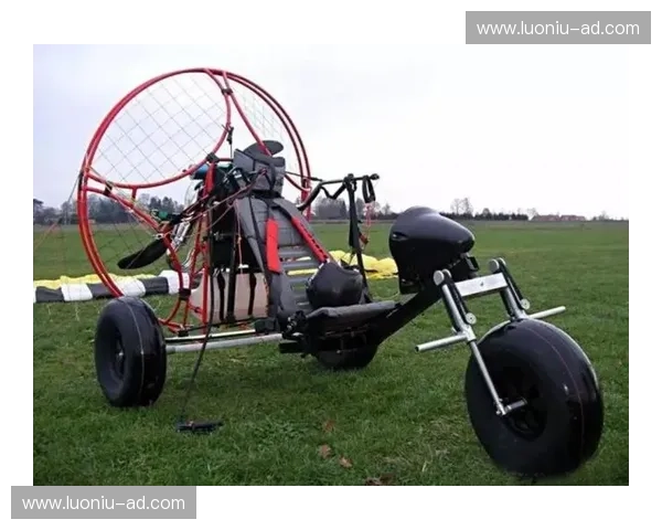 动力伞飞行体验与安全技巧全面解析带你领略低空自由之美探索指南